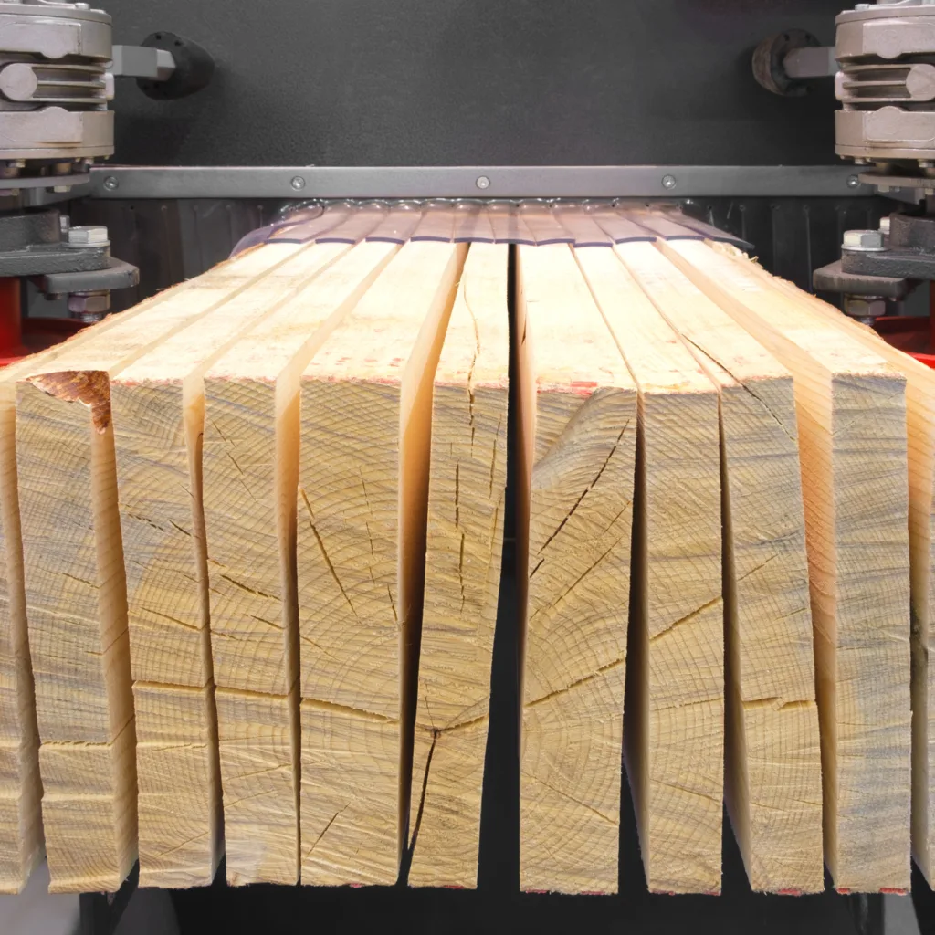 Tarcica sosnowa – cięcie drewna na pile tartacznej, Tartak Darul Turek